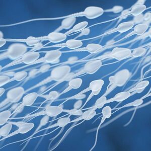 5 Ways To Boost Sperm Motility Naturally