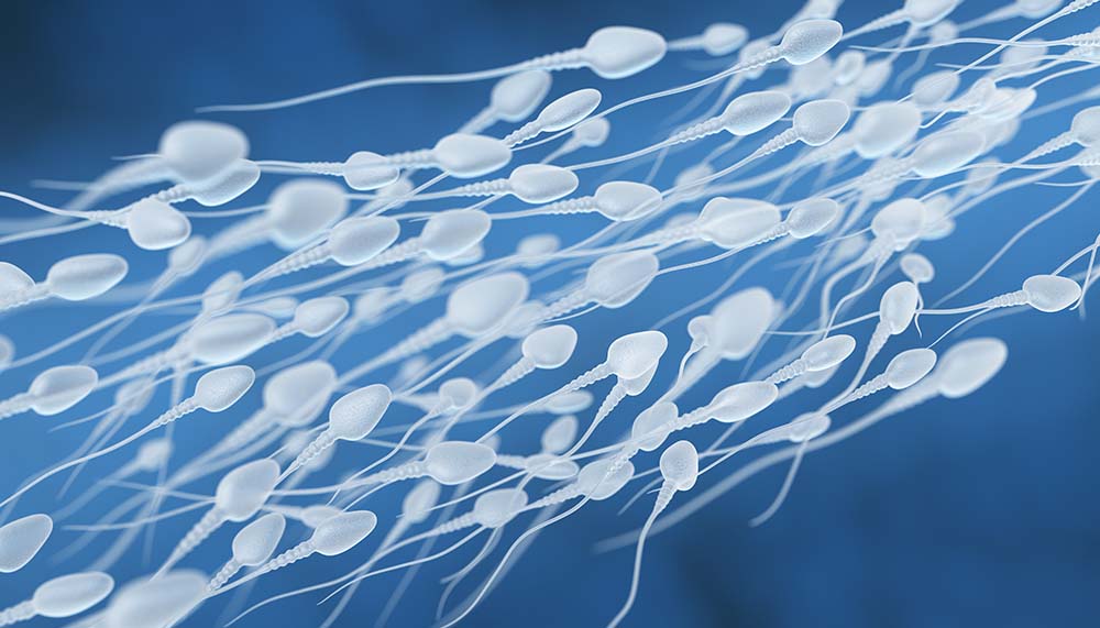 5 Ways To Boost Sperm Motility Naturally